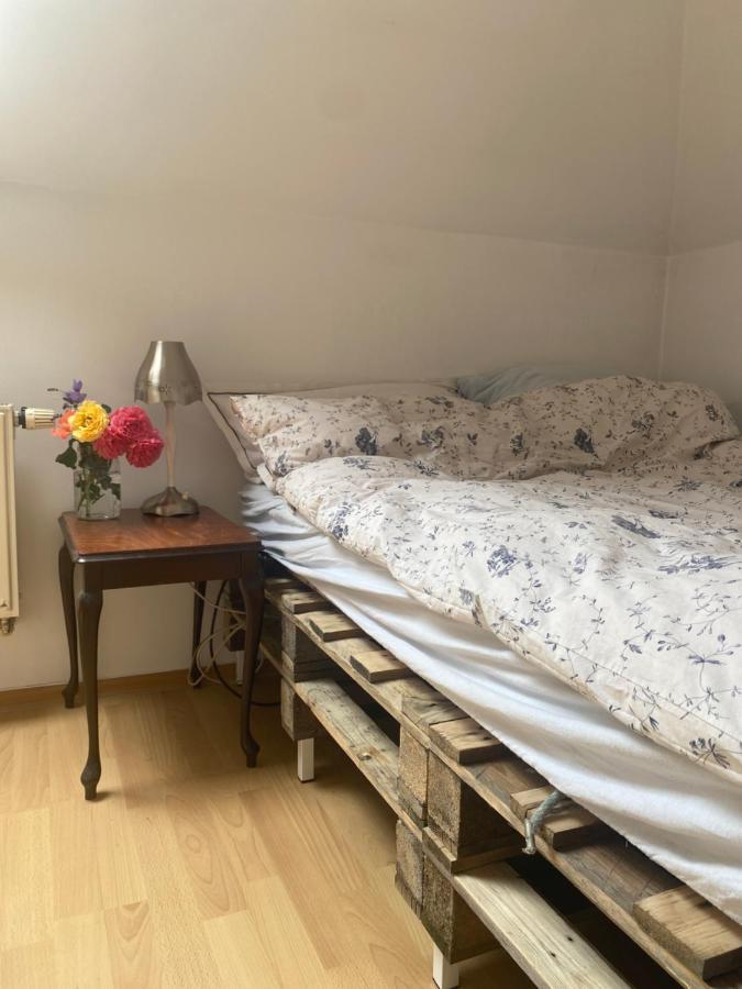 Zielone Zarabie Residence 麦伦尼塞 外观 照片