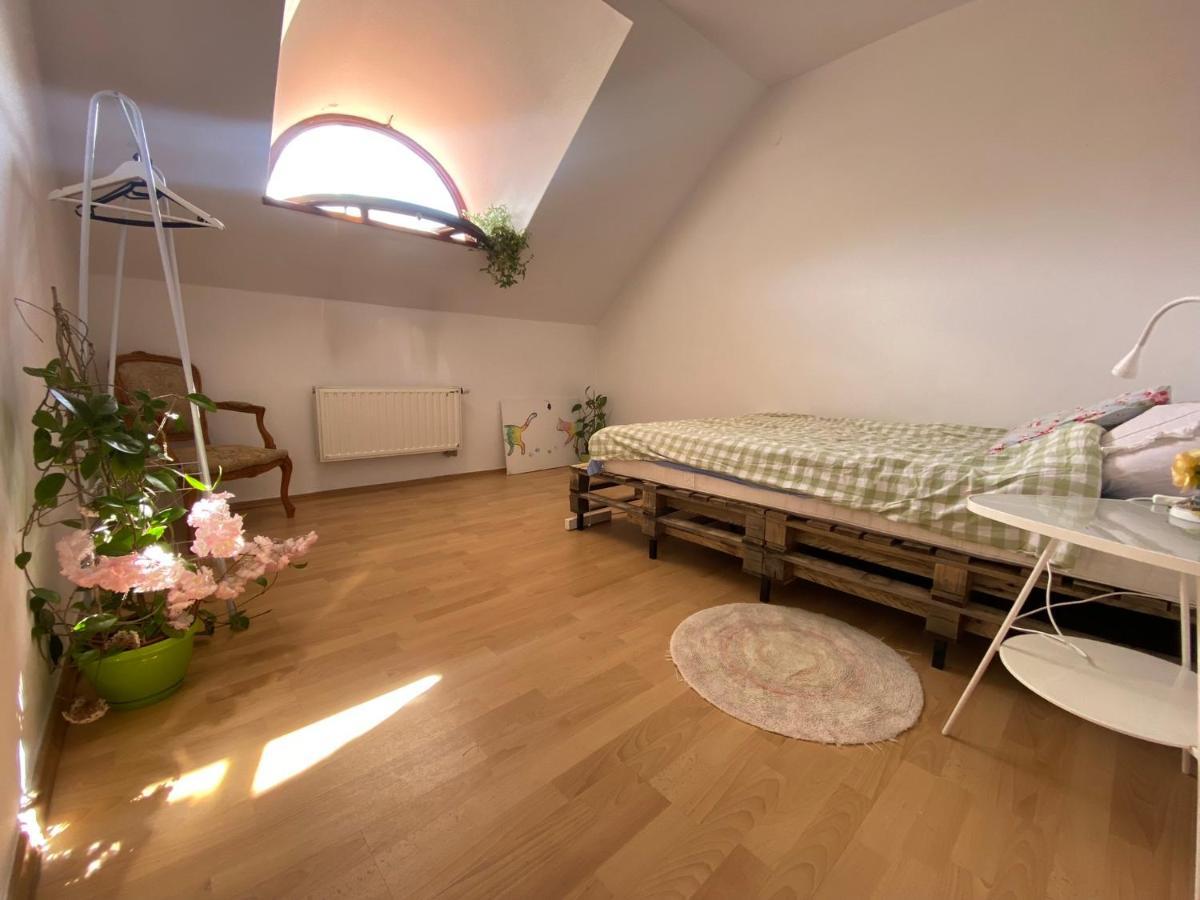 Zielone Zarabie Residence 麦伦尼塞 外观 照片